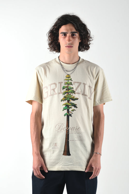 TALLEST PINE CREAM