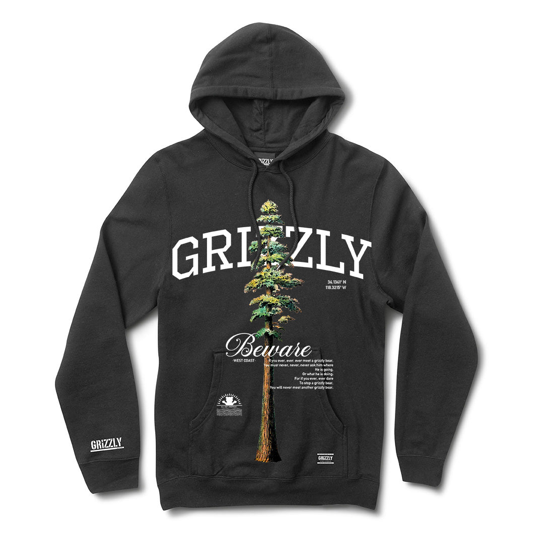 POLERON HOODIE TALLEST PINE TARMAC