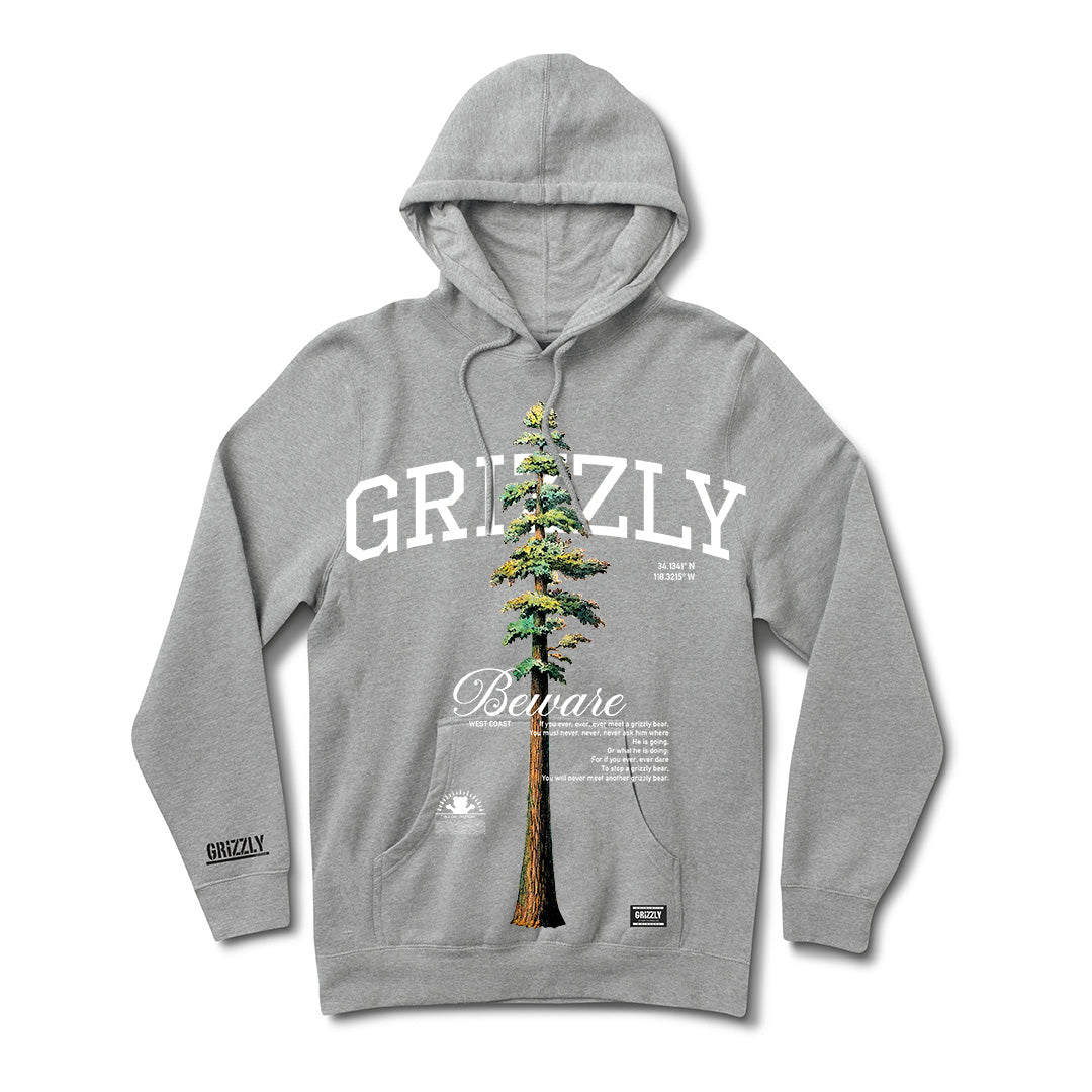 POLERON HOODIE TALLEST PINE GRIS